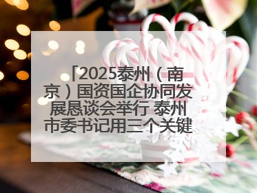 2025泰州（南京）国资国企协同发展恳谈会举行 泰州市委书记用三个关键词推介泰州