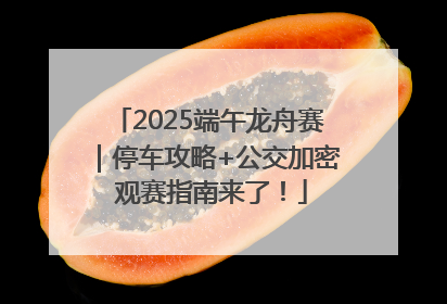 2025端午龙舟赛｜停车攻略+公交加密 观赛指南来了！