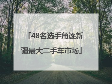 48名选手角逐新疆最大二手车市场