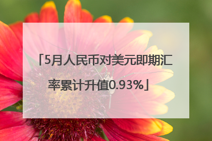 5月人民币对美元即期汇率累计升值0.93%