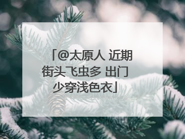 @太原人 近期街头飞虫多 出门少穿浅色衣