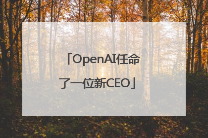 OpenAI任命了一位新CEO