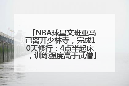 NBA球星文班亚马已离开少林寺，完成10天修行：4点半起床，训练强度高于武僧