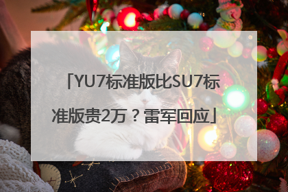 YU7标准版比SU7标准版贵2万？雷军回应